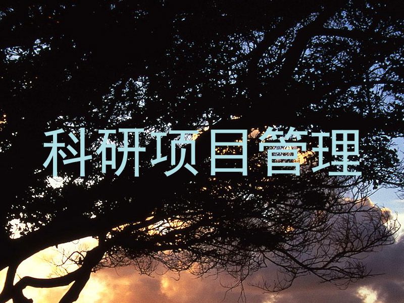 科研项目管理