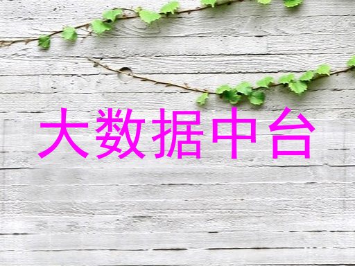 大数据中台