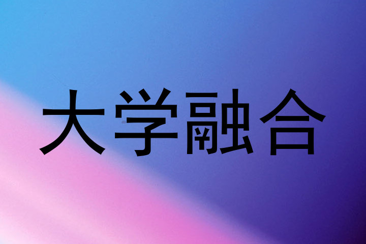 大学融合