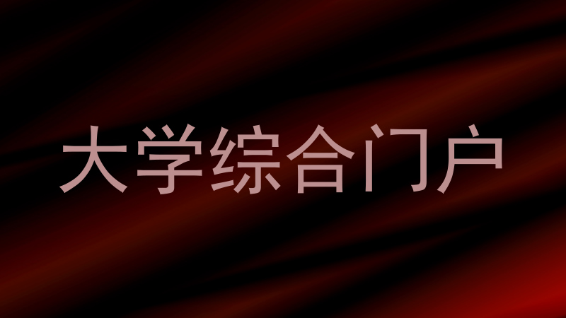 大学综合门户