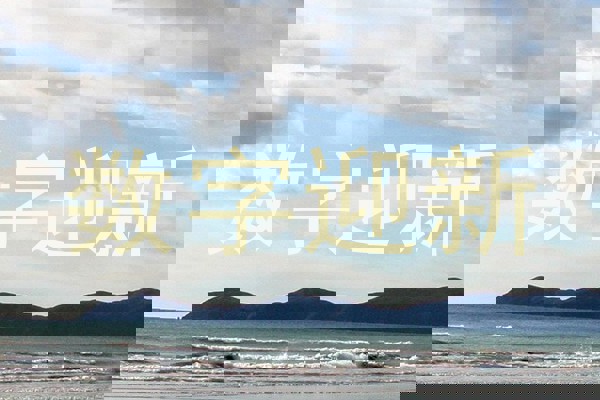 数字迎新