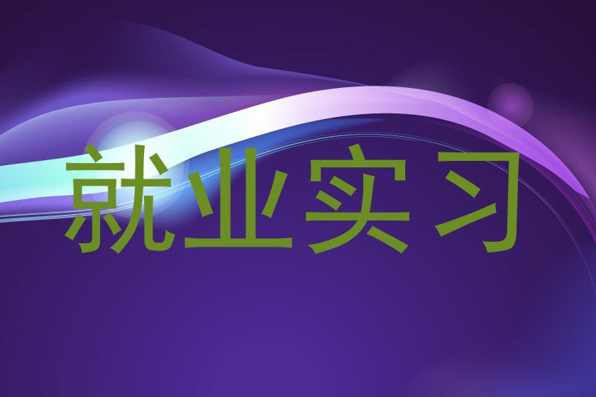就业实习