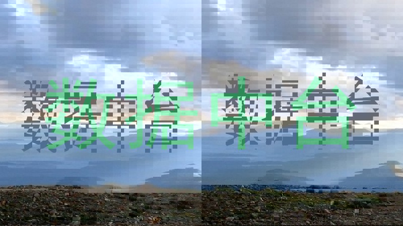 数据中台