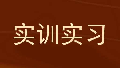 实训实习