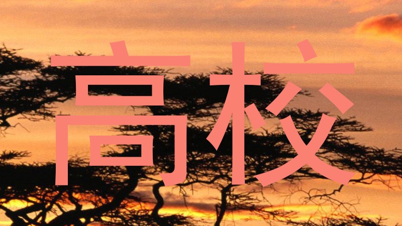 高校