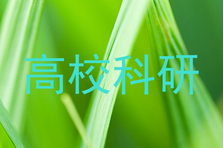 高校科研