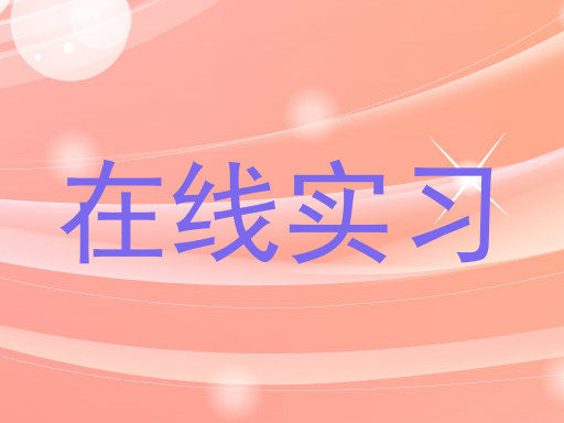 在线实习