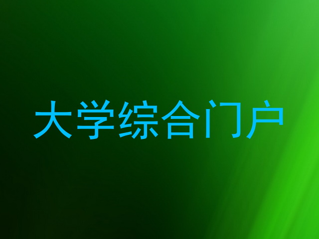 大学综合门户