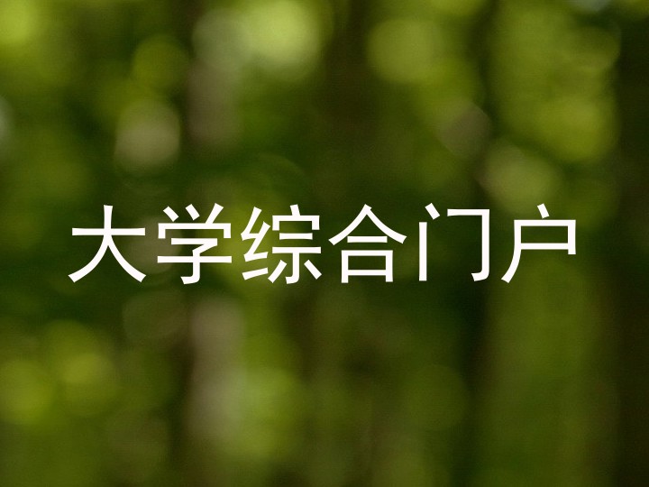 大学综合门户