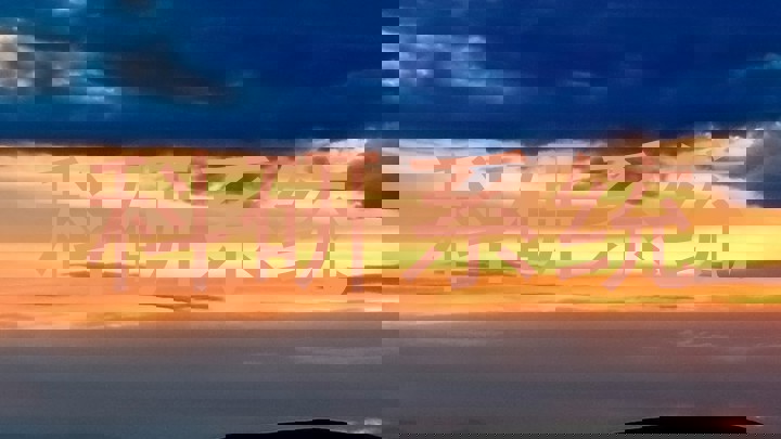 科研系统