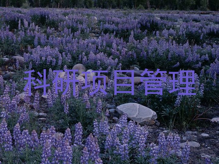 科研项目管理