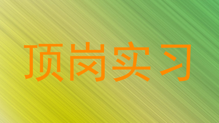 顶岗实习