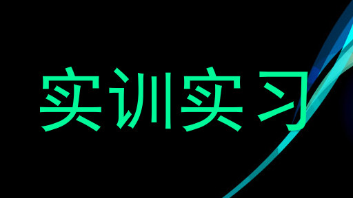 实训实习