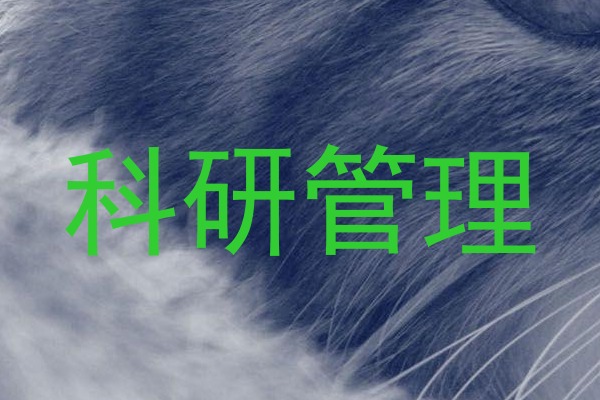 科研管理