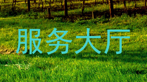 服务大厅