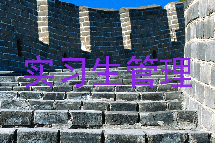 实习生管理