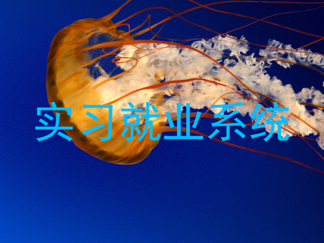实习就业系统