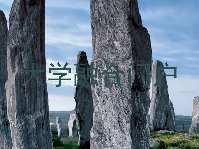 大学融合门户
