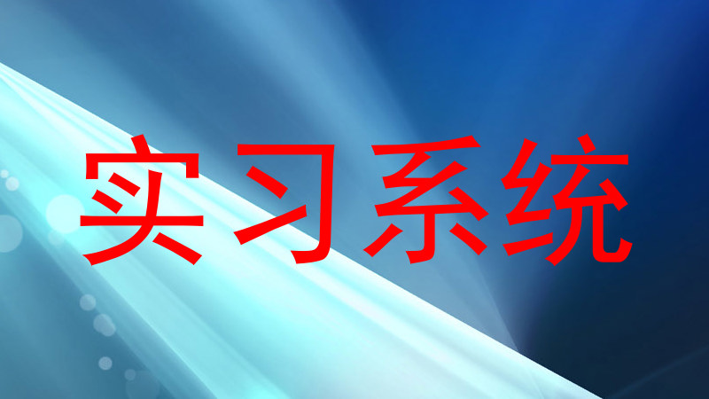 实习系统