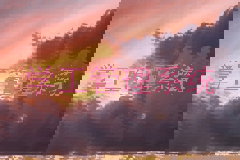 学工管理系统