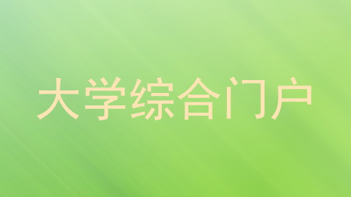大学综合门户