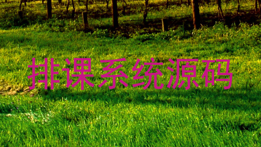 排课系统源码