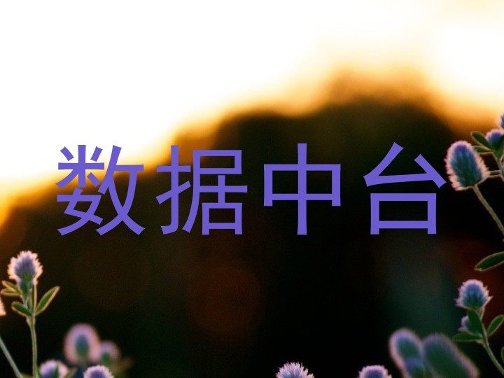 数据中台
