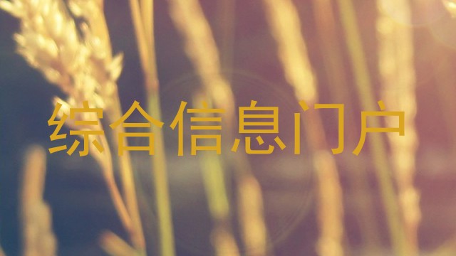 综合信息门户