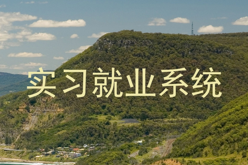 实习就业系统