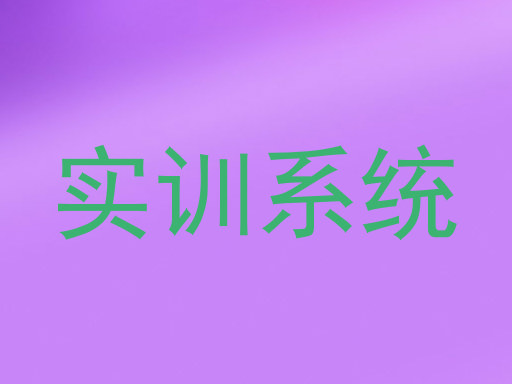 实训系统