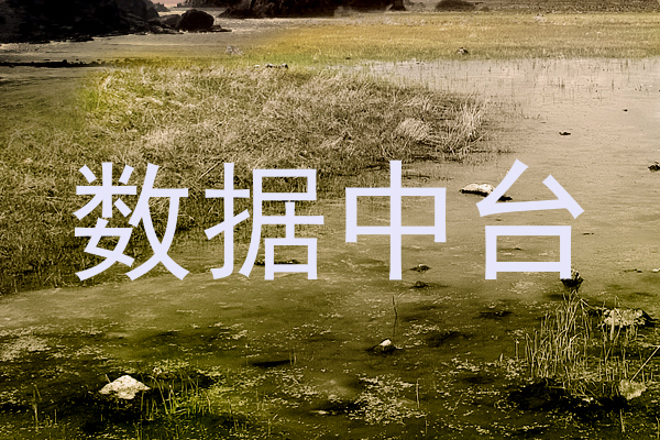 数据中台