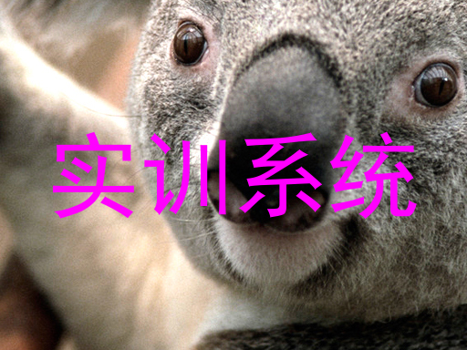 实训系统