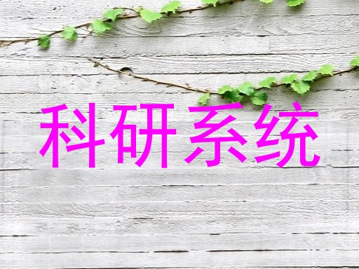科研系统