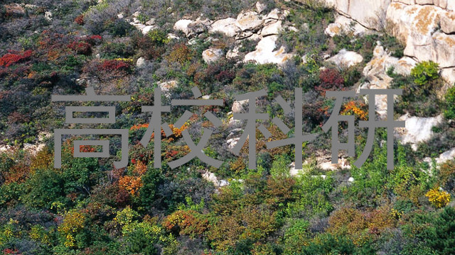 高校科研