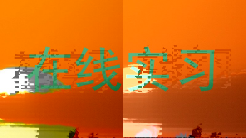 在线实习