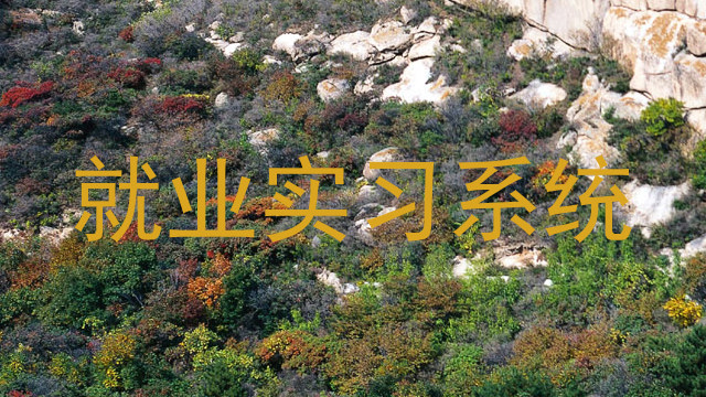 就业实习系统