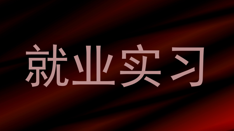 就业实习
