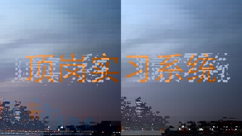 顶岗实习系统