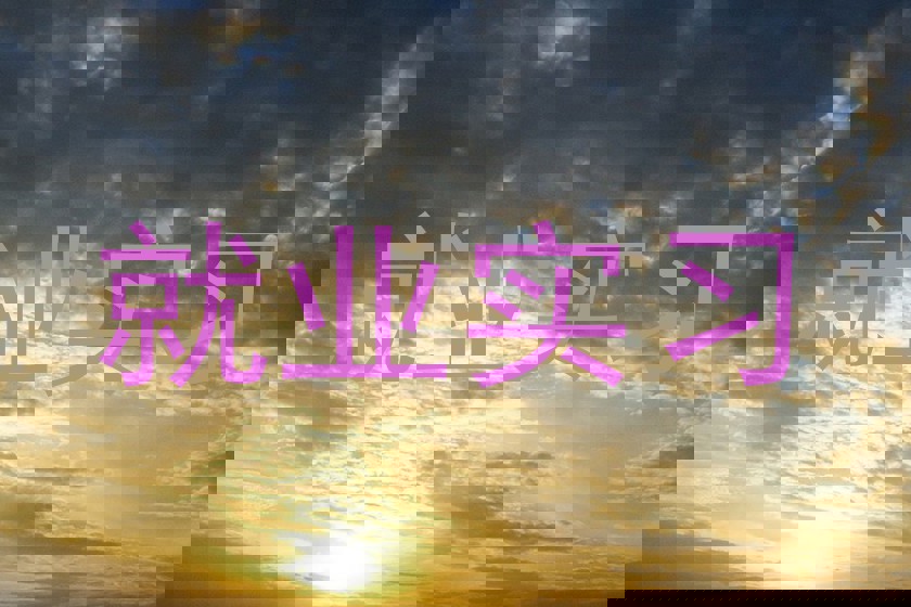 就业实习