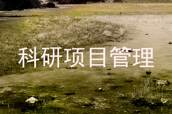 科研项目管理