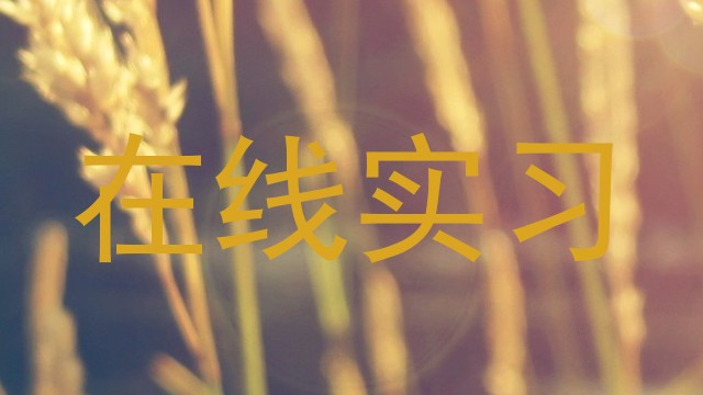 在线实习