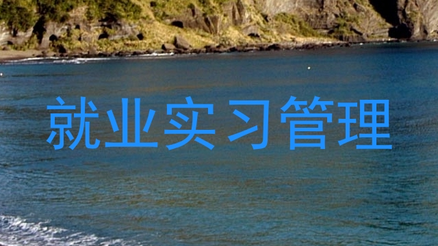 就业实习管理