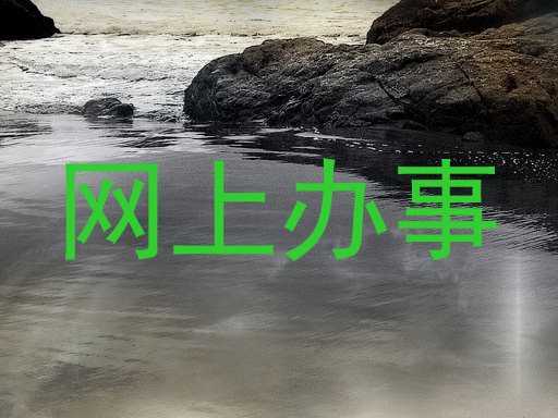 网上办事