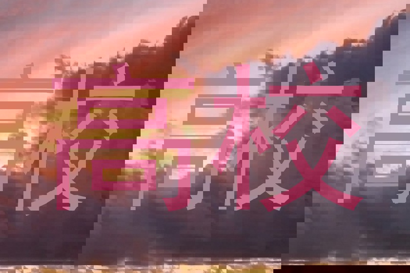 高校