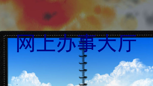 网上办事大厅