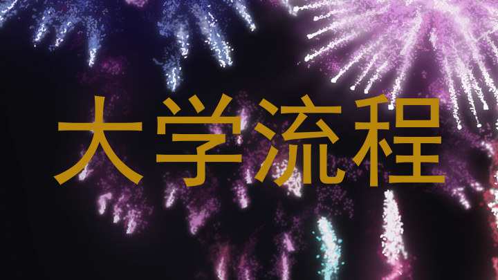 大学流程