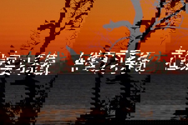 在线实习系统