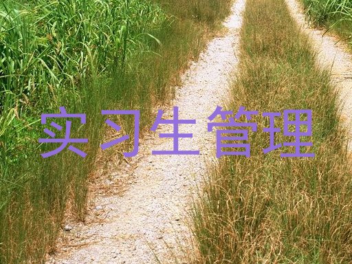 实习生管理