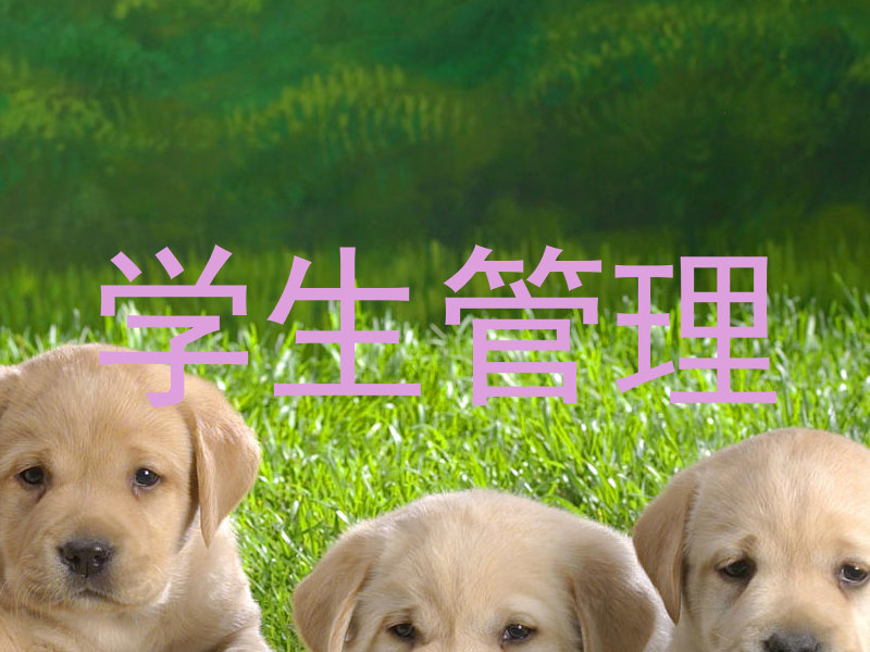 学生管理