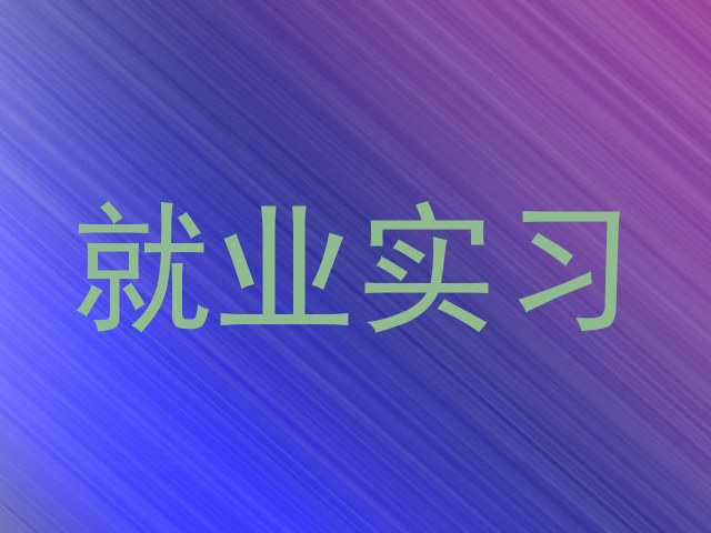 就业实习